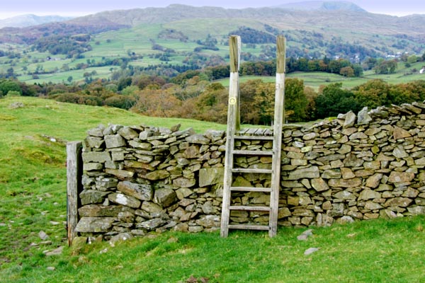 Ladder to the countryside